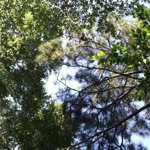 Meet your Posher, Donald